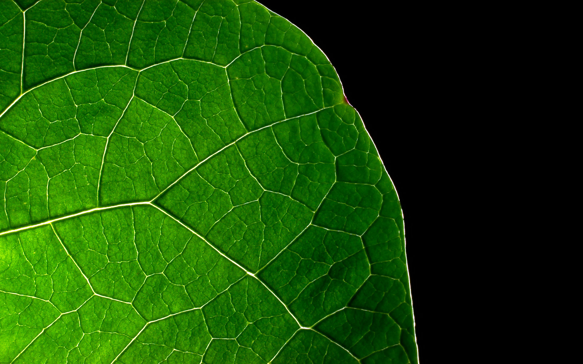 Wallpapers widescreen HQ - Fonds d ecran large HD - 0906